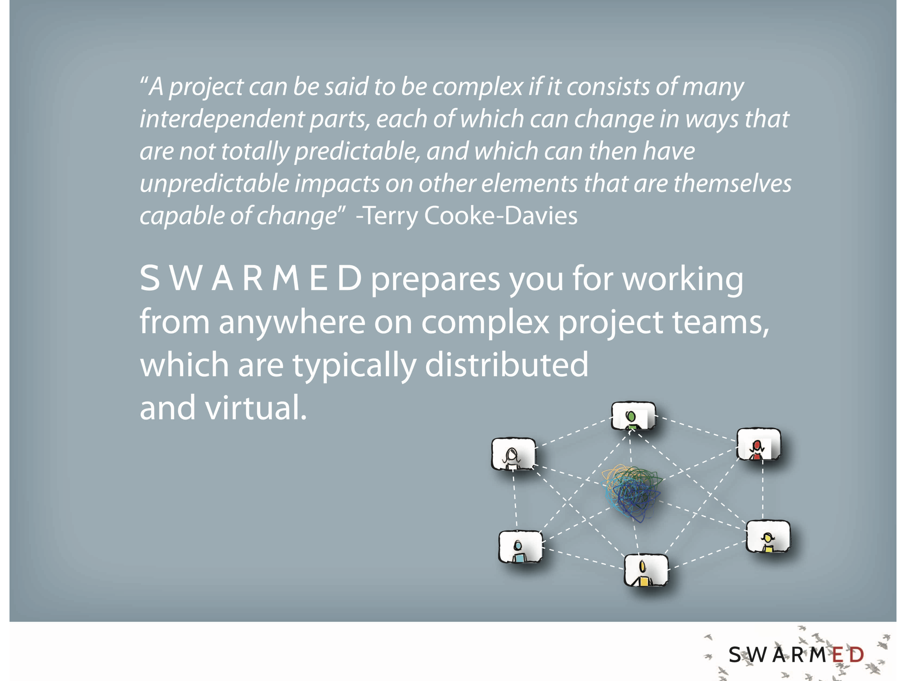 SwarmED created by Orla de Díez @ kitchentablepolicymaker